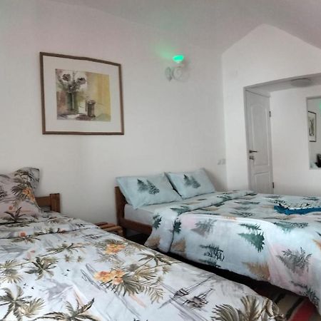 Doi Iepuri Appartamento Azuga Esterno foto