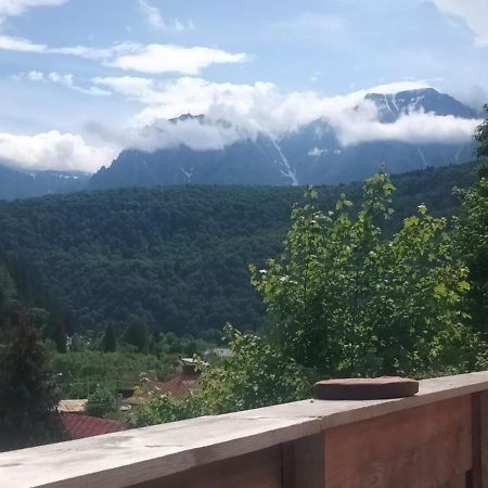 Doi Iepuri Appartamento Azuga Esterno foto