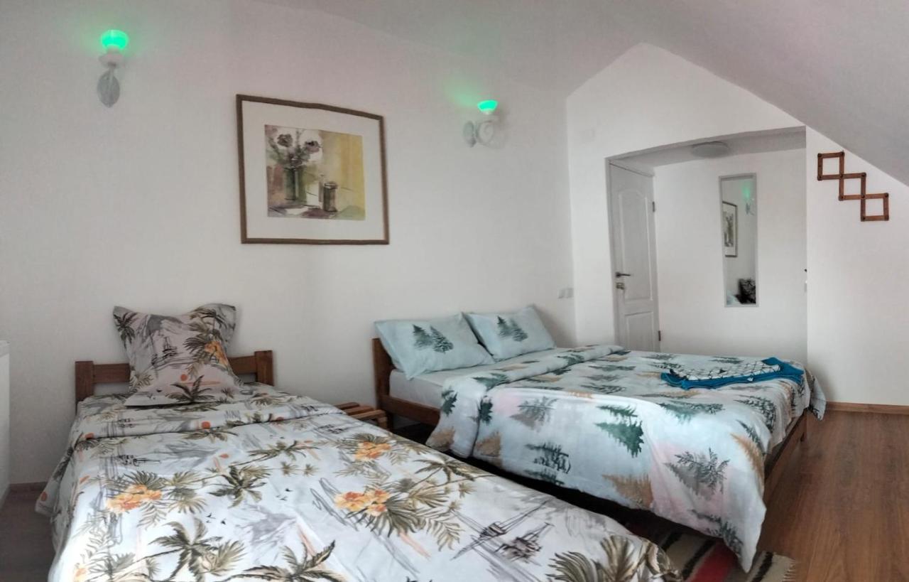 Doi Iepuri Appartamento Azuga Esterno foto