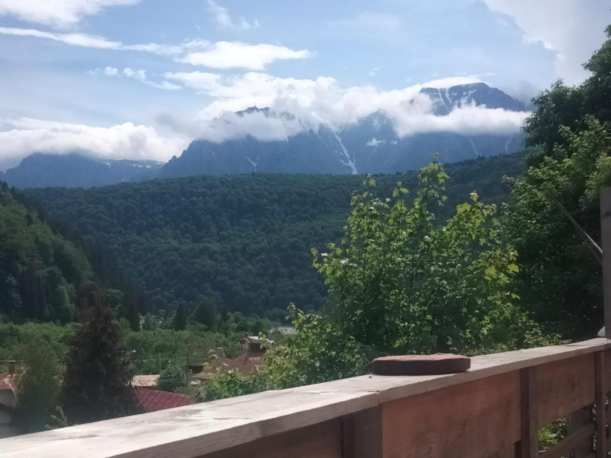 Doi Iepuri Appartamento Azuga Esterno foto